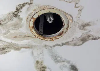 Margate Restoration Company Margate, FL 954-417-8767 - water-leaks-side